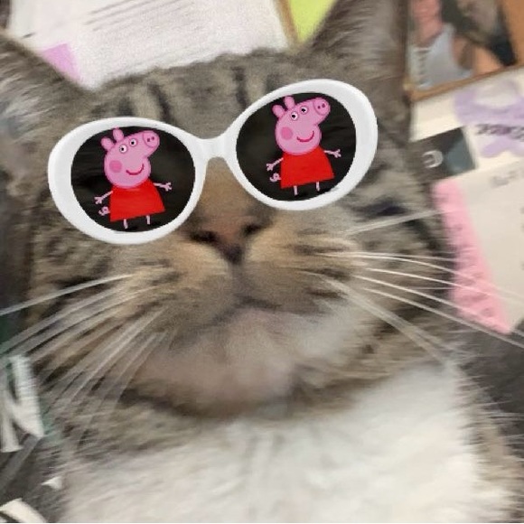 mitchkss